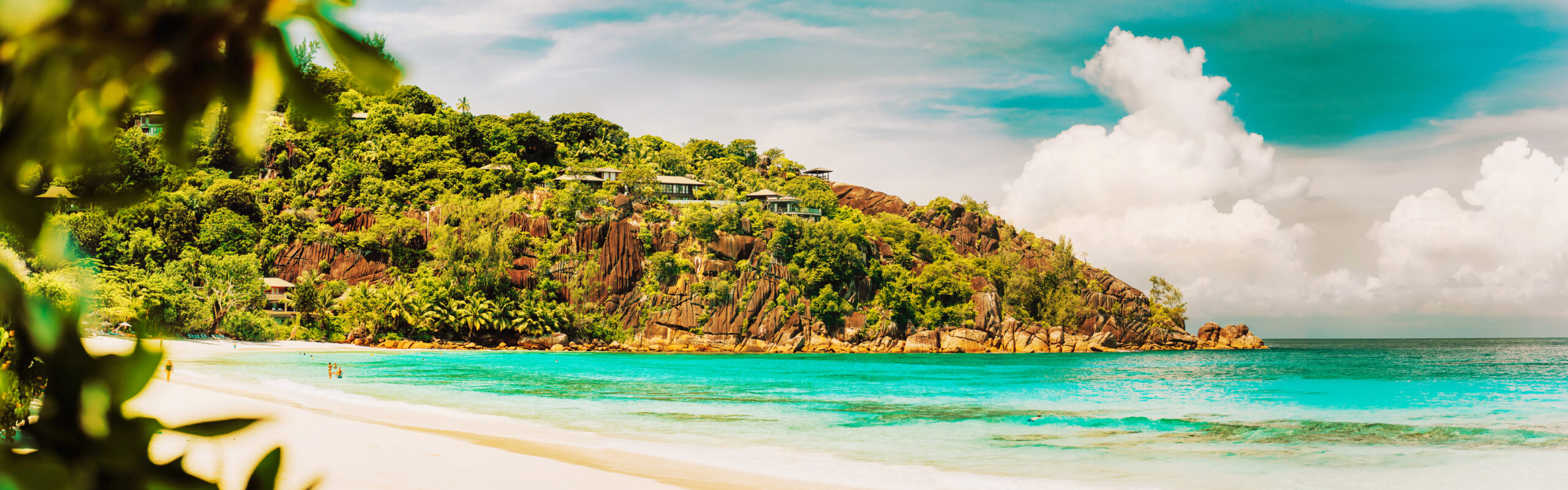 https://kelseymichaelwedding.com/wp-content/uploads/2025/04/amazing-petite-anse-beach-vacation-holidays-honey-2024-10-17-13-48-51-utc-DoubleTint-Cropped-scaled.jpg